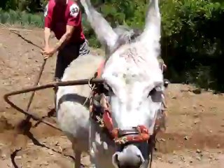 DİYARBAKIR ÇÜNGÜŞ KARAKAYAKÖYÜ