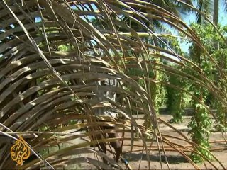 Fighting to keep above the waves - 8 Dec 2009