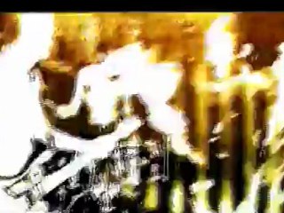 STONY BROKE "Rade it, burn it and die" - CLIP