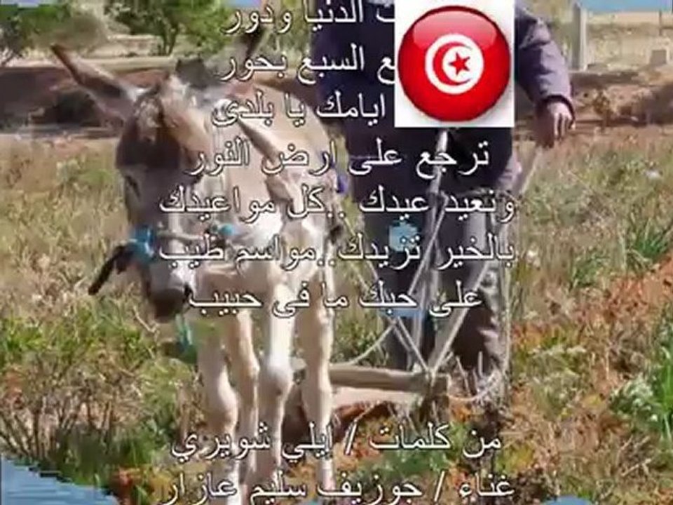 بكتب اسمك يا بلادي_ الصخيرة 2012_رضا