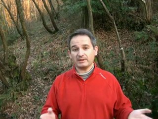 CRÓNICA Champú de Caballo es bueno o malo para el cabello?