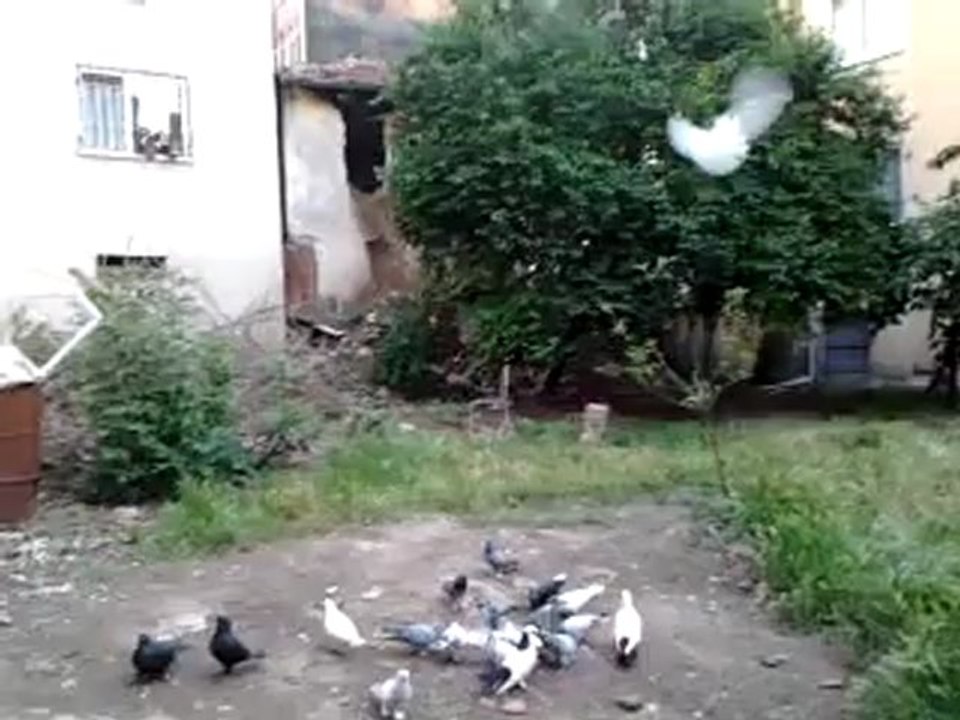 video-2012-05-31-19-31-53