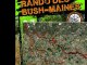 la bush-maines 2012 par un p'tit lu