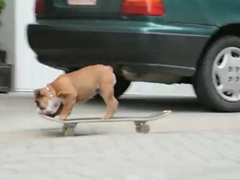 June la skateuse . . se prend le "mur" !