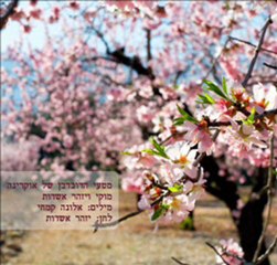 מטעי הדובדבן של אוקראינה