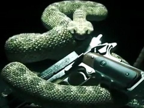 Teaser de Hitman Absolution en HobbyNews.es