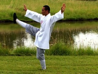 Tai Chi Chuan by a Shaolin Monk in Nature - Zenitude Experience