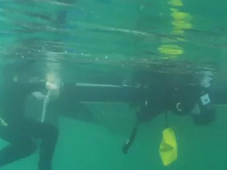 Diving for sharks teeth in Venice, Florida