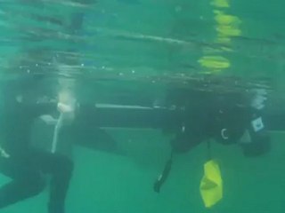 Diving for sharks teeth in Venice, Florida