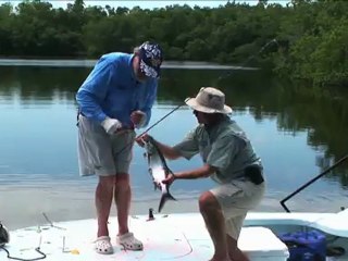 SFTV: Everglades Magic Part 5