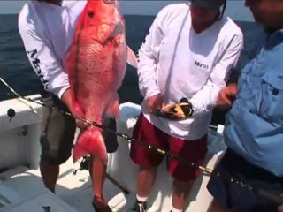 SFTV: Gulf Bottom Time Part 2