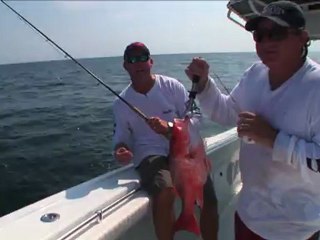 SFTV: Gulf Bottom Time Part 4