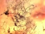 Un Kamikaze sin cabeza en Serious Sam 3 - HobbyNews.es
