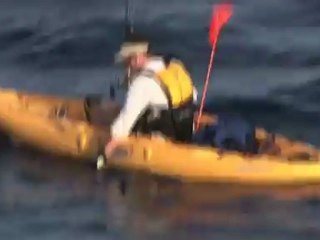 SFTV: Kayaking in Cabo Part 3