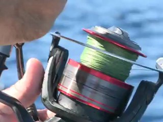 SFTV: Exploring East Cape Part 3