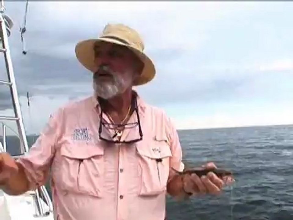 Handlining for Bait