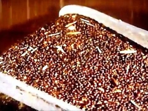 la fabrication de l'huile de colza