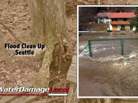 Seattle Flood Clean Up - Complete Drying Services