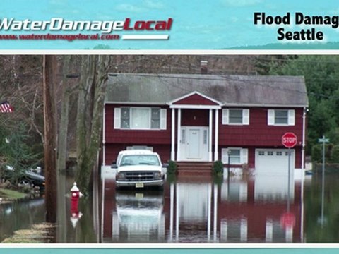 Seattle Flood Damage ~~ Water Extraction