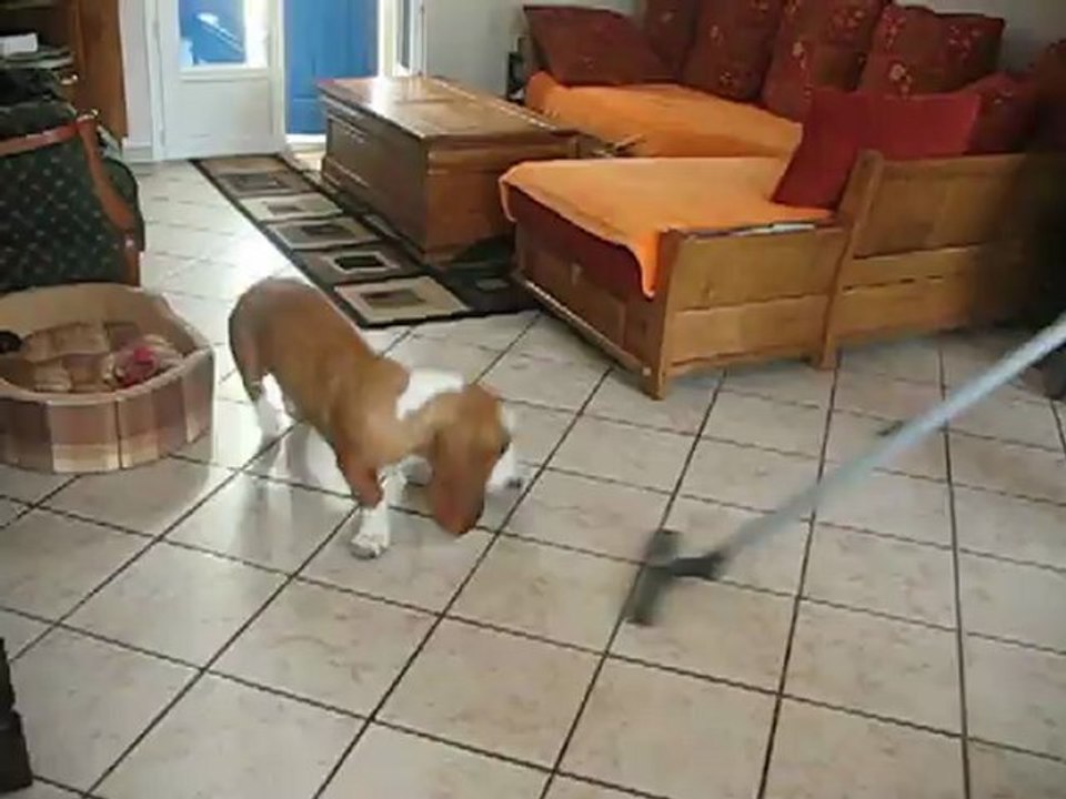 guss et l'aspi!!!! 001