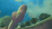El Lago Floria de The Legend of Zelda Skyward Sword en HobbyNews.es
