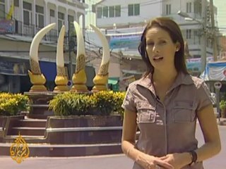 Thailand's flourishing ivory trade