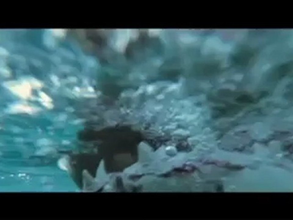 Dark Tide Official Trailer - Web