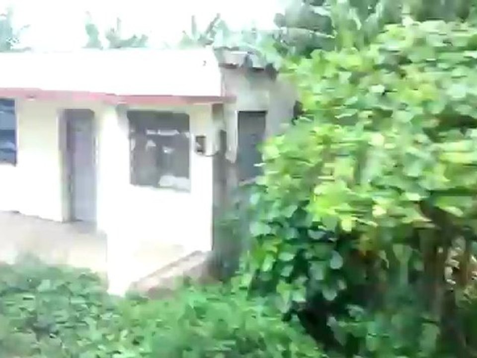cuba (8)