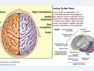 understanding EEG Part1, What is electroencephalography (EEG)?