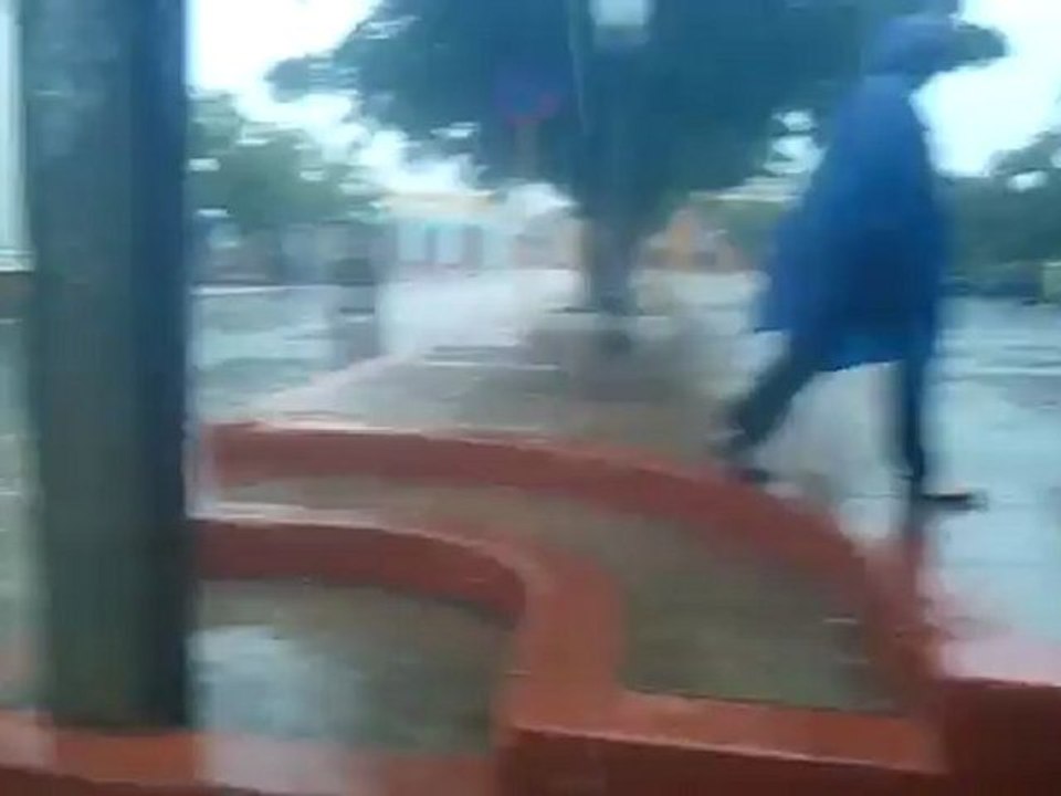 pluie de cuba (11)