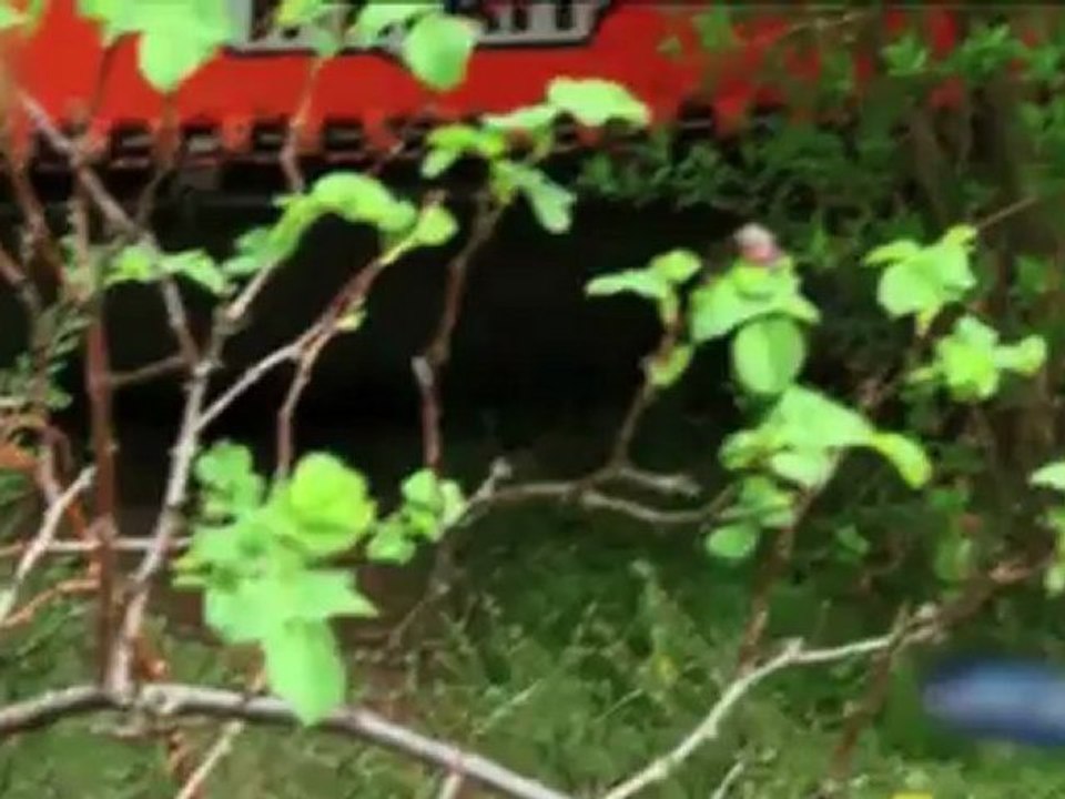 Tommy Scheel im Breakdown Teil 4 - Naturkatastrophen