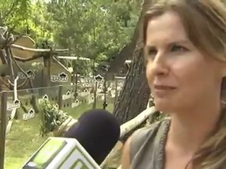 Presentación de la Koala Eyepet en HobbyNews.es