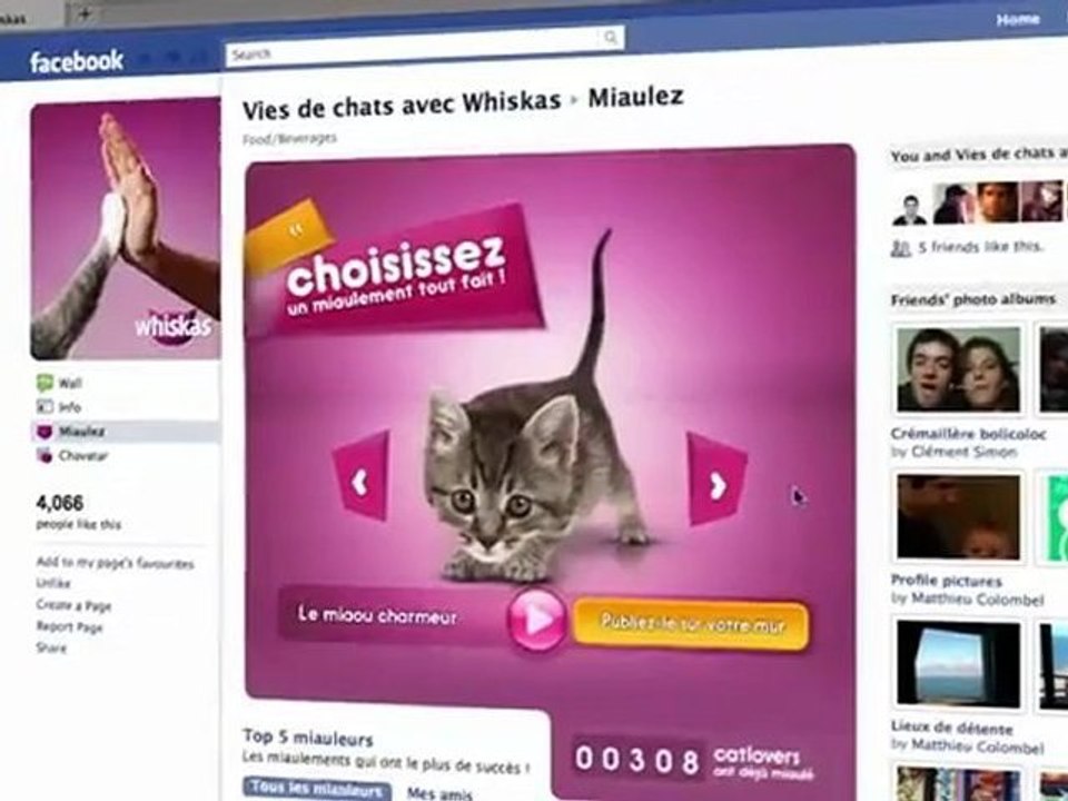 Whiskas - Miaulez pour votre chat