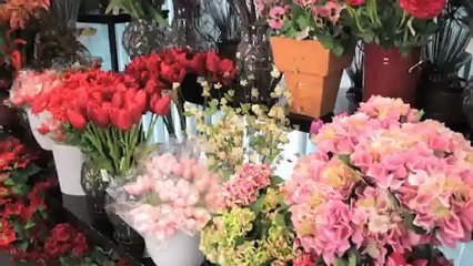 Gift Shop Coorparoo Swann Agencies QLD