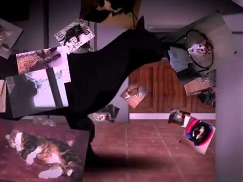 Kitty Kitty - 100000 Fans sur Vies de Chats avec Whiskas