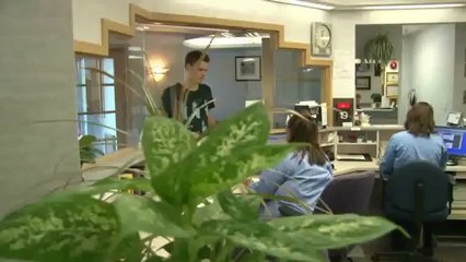 Dentist Aurora Orschel Norman A Dr