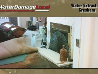 Gresham Water Extraction — Remediation Company