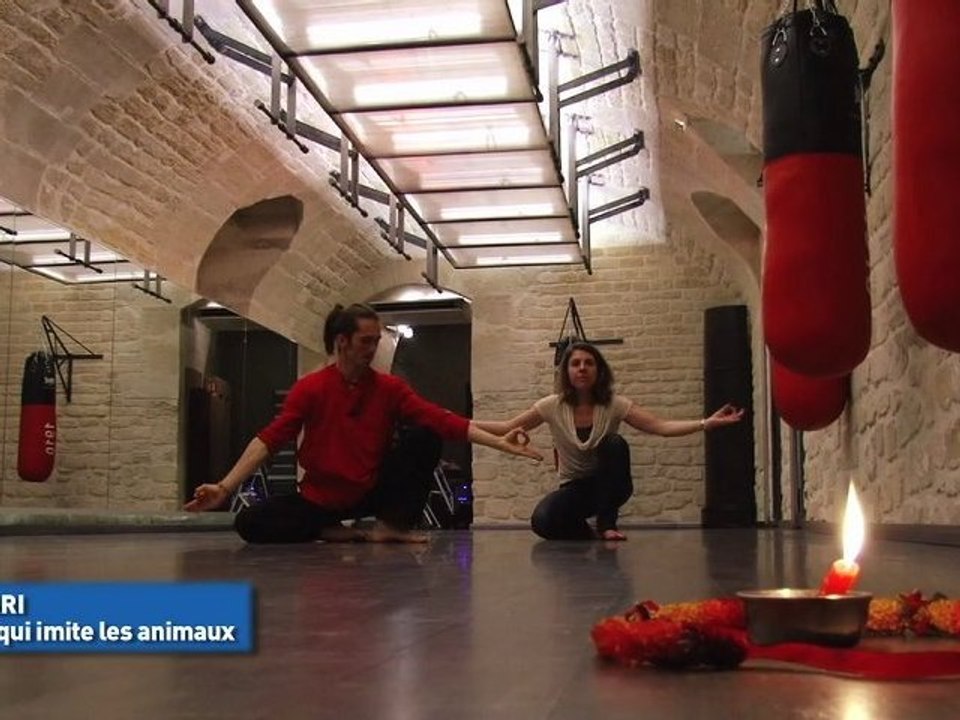 Le kalari : un sport  qui imite les animaux
