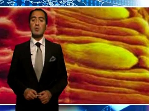 HÜCRE ŞEKİLLERİNDEKİ TASARIM EVRİM TEORİSİNİN GEÇERSİZLİĞİ İÇİN YETERLİ BİR DELİLDİR