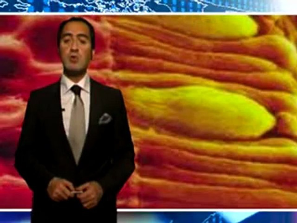 HÜCRE ŞEKİLLERİNDEKİ TASARIM EVRİM TEORİSİNİN GEÇERSİZLİĞİ İÇİN YETERLİ BİR DELİLDİR