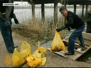 Dead babies dumped in China river