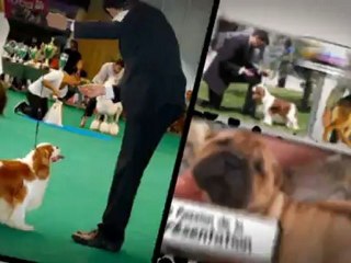 TDS Handling with Style 1