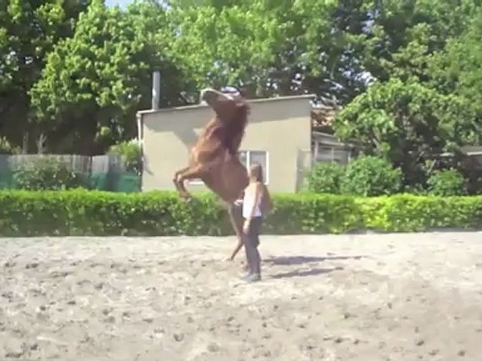 Décathlon Aubagne, la journée du cheval 26 mai 2012
