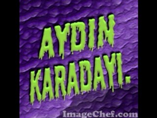 AYDIN KARADAYI.