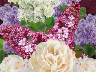 Quand les lilas refleuriront Jack Lantier