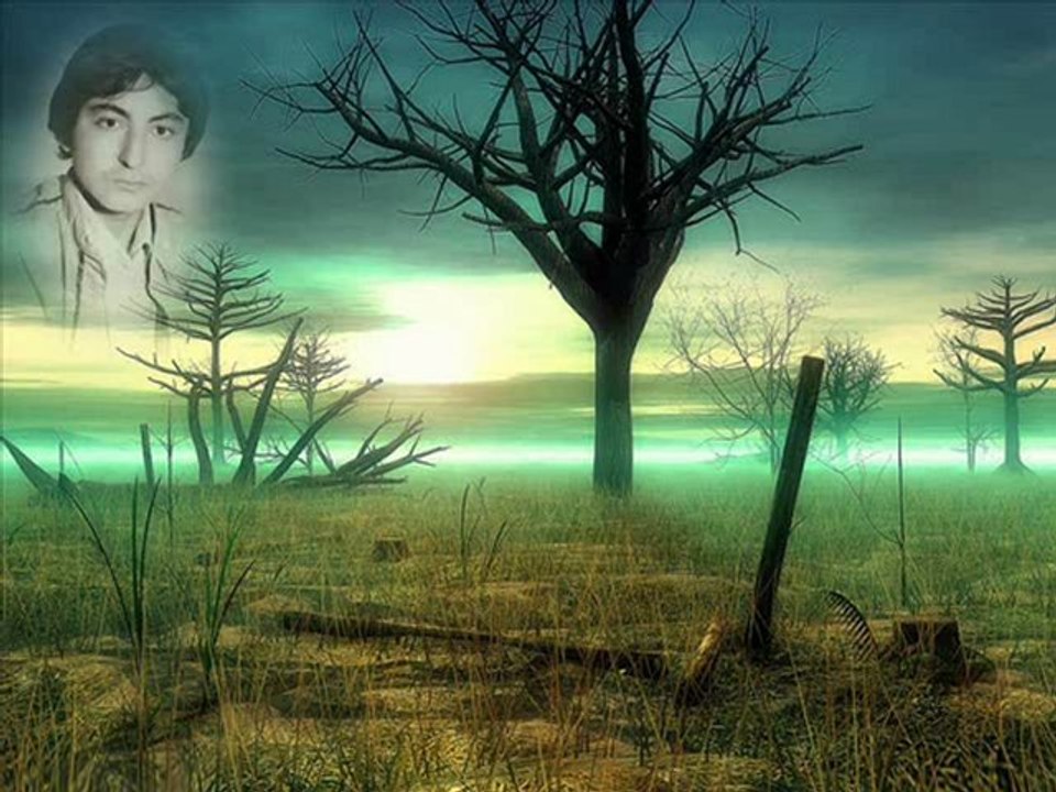 Mehmet DEMİRTAŞ - Ekin Ektim Düzlere...!