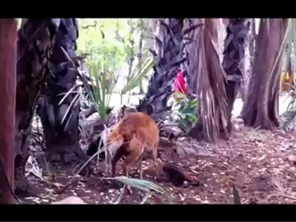 Parque Kruger en 4x4