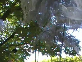 Vernissage Elisabeth Claus 1 juin 2012