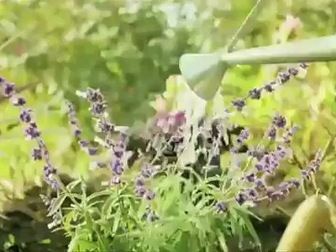 Jetta Hybrid revealed at North American International Auto