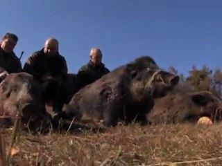 Balkan Hunters Club - Bulgaria 2012